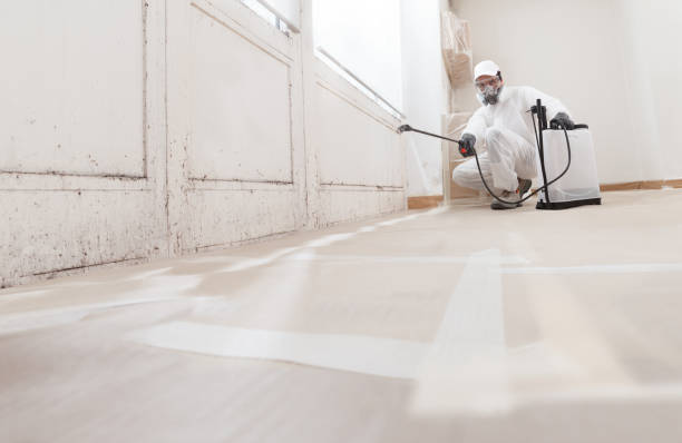 24/7 Emergency Mold Inspection experts in Worcester, MA